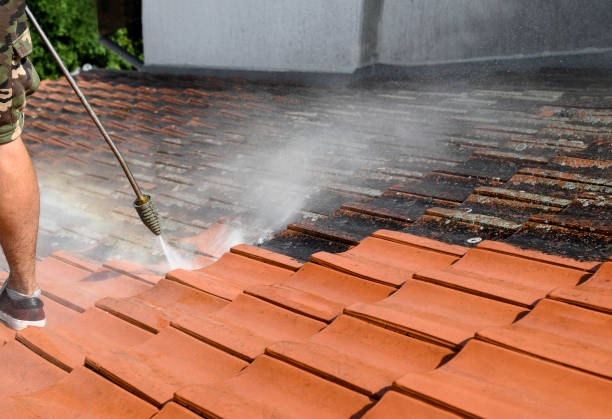 Best Affordable Power Washing  in Union Grove, WI